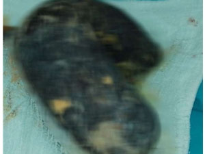 Doktorlar bile inanamadı