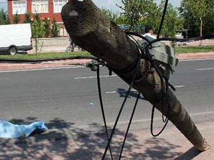 13 gün sonra ölüm uykusundan uyandı