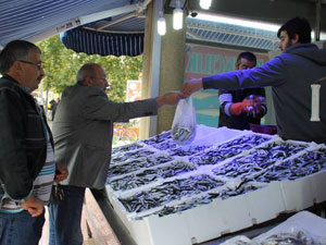 Hamsinin kulağına kar suyu kaçmıyor