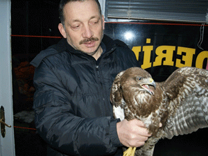 Giresun'da yaralı atmacaya halk sahip çıktı