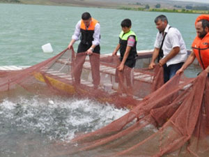 Trabzon'da iç su balıkçılığı geliştirilmeli