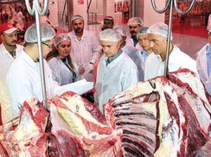 Hileli üretime karşı yeni sistem