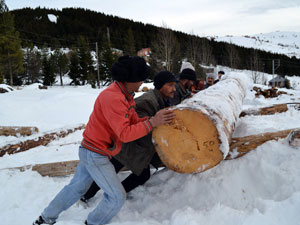 Ordu'da metrelerce karda 10 lira mücadelesi!