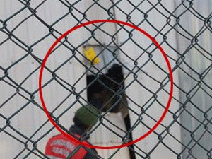 Fabrikada inanılmaz ölüm!