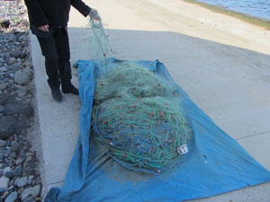 Giresun'da balıkçı ağlarına el konuldu!