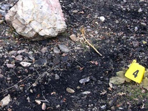 Ormanda yanmış erkek cesedi