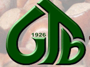 Giresun'dan hükümete destek!