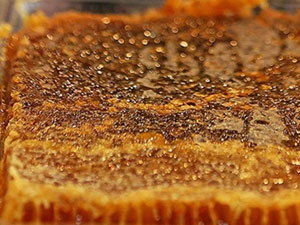 Türkiye'de sadece Karadeniz'de var!