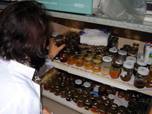 Arı ürünleri her derde deva