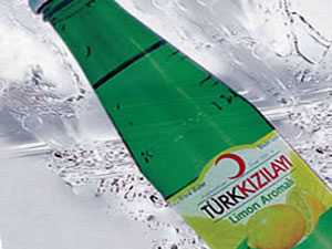 Tartışılacak karar! Türk ibaresi kaldırıldı...