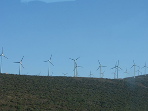 Havza'nın rüzgarı enerjiye dönüşecek