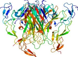 Kanser hücresini yok eden protein keşfedildi