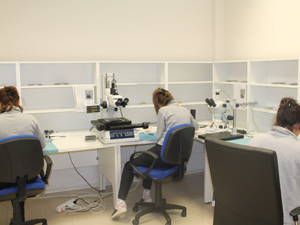 Bu fabrikada çalışanlar  üniversite mezunu