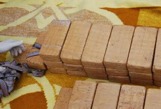 Ordu'da 30 kilo eroin yakalandı!