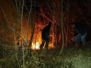 Karadeniz'de orman yangını!