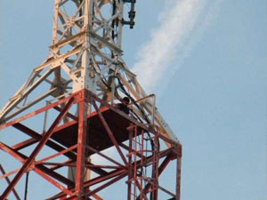 Kimse onu farketmeyince bakın ne yaptı!