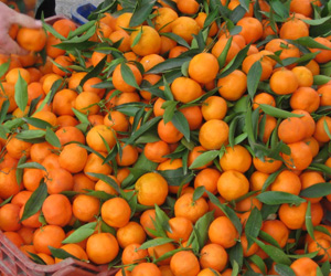 Rusya'dan Türkiye'ye veto!