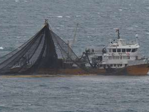 Giresun'da balıkçı teknesinin zor anları