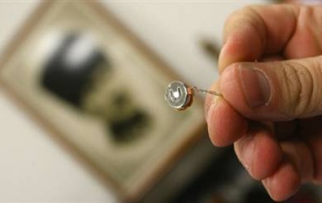 Yargıtay’dan "böcek" açıklaması