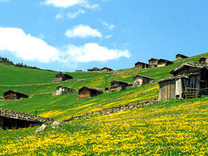 Doğu Karadeniz'e yerli turist akını