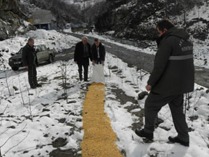 Trabzon'da yabani hayvanlar unutulmadı