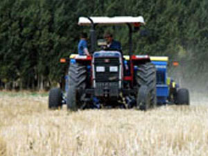 Çiftçilere prim müjdesi