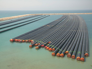 Rumları korkutan o büyük proje!