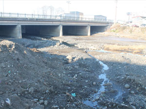 Trabzon'da dereler susuz kaldı!