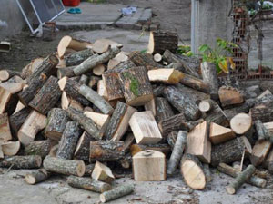 Rize'de ihtiyaç sahiplerine yakacak yardımı