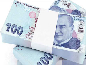 50 denetim şirketine yasak!