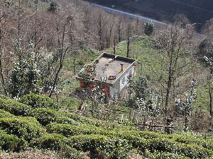 Rizeli şehit babasının kaya ile mücadelesi