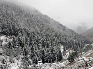 Zigana Dağı Kış Şenliği yapıldı