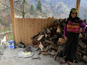 Rizeli eltilerin kedi sevgisi