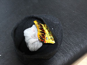 Emniyet uyuşturucu tacirlerine göz açtırmıyor