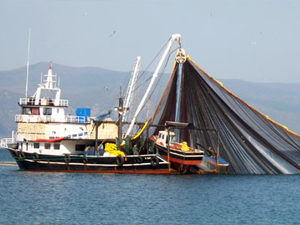 Türkiye su ürünlerinde ilk üçe girdi