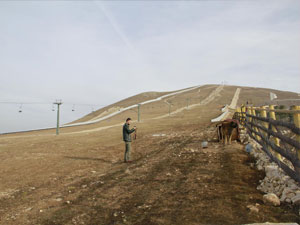 Samsun'da kar yoksa kayak yok...