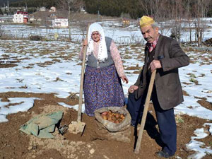 Toprağa gömüp saklıyorlar...