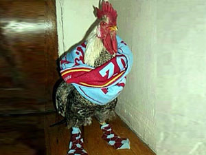 TS taraftarının yeni gözdesi