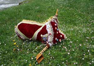 Türkiyenin ilk kadın tulumcusu