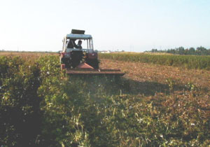 Çiftçilere kötü haber!