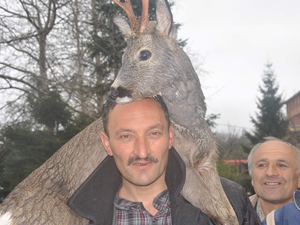 Trabzon'da ceylan kurtarma operasyonu!