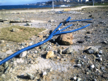 Trabzon sahili yok oluyor!