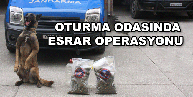 Oturma odasında esrar var!