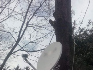 Rize'de teknolojinin doğa ile buluşması