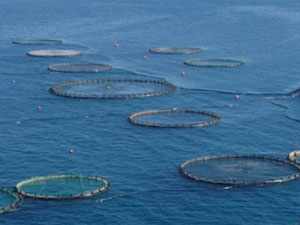 Türkiye'de ilk merkez Trabzon'a yapılacak