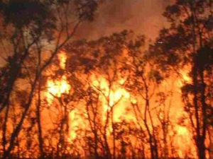 Rize'deki yangın neden çıktı?