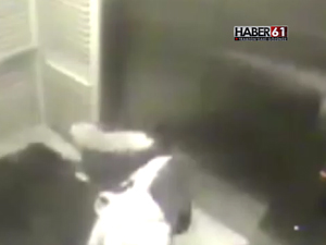 Genç kız ne yapacağını şaşırdı: Korku dolu anlar