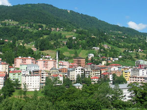 İşte Tonya'da kazanan!