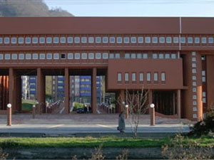 Giresun'da sorunsuz seçim!