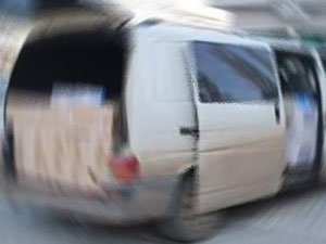 Trabzon'da kargo aracından bakın ne çıktı!